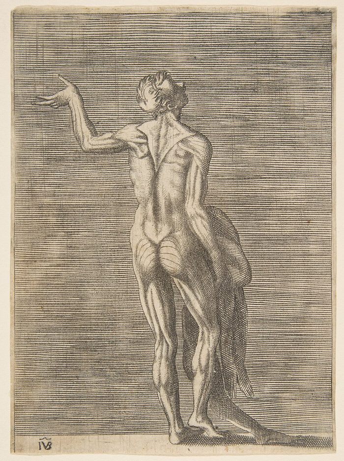 Old engraving of a skinless man, seen from behind, carrying his skin
